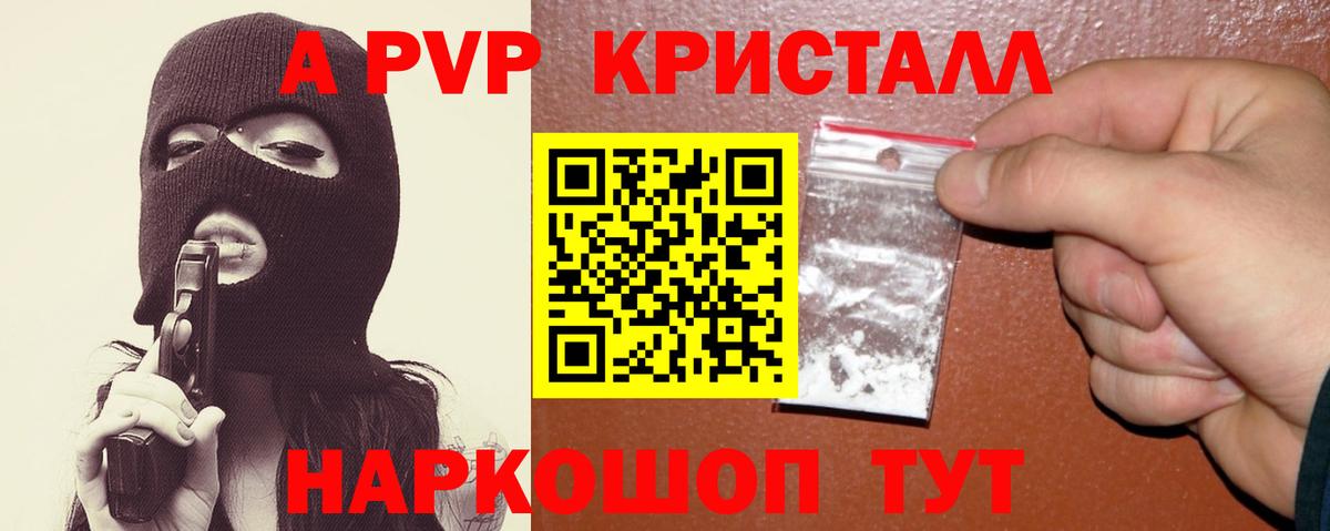 A PVP СК Асино