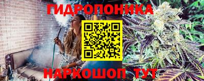 PSILOCYBIN Шелехов