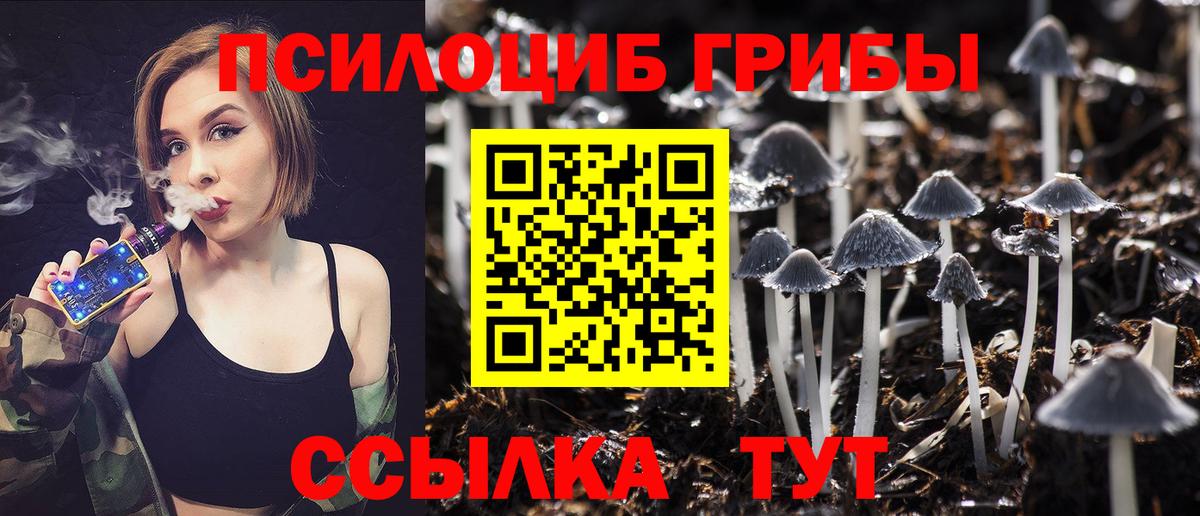 Галлюциногенные грибы MAGIC MUSHROOMS Асино