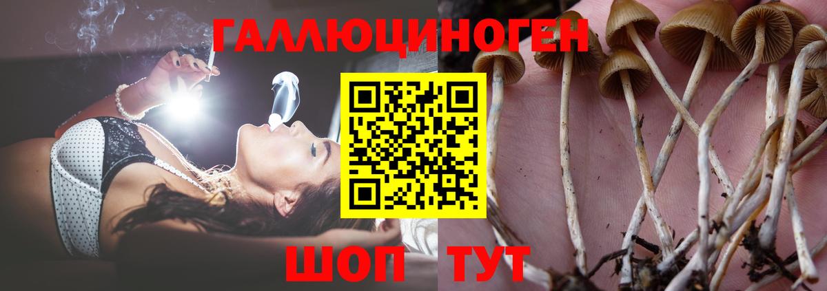 Асино  Галлюциногенные грибы Magic Shrooms  Вход с VPN 